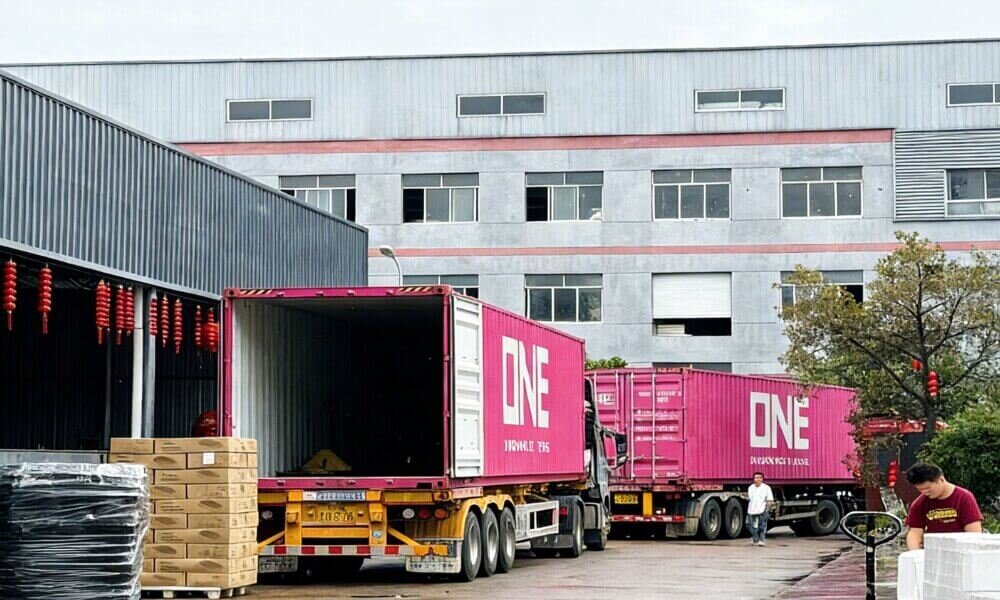 Cargo being loaded into container for shipping